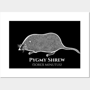 Pygmy Shrew with Common and Scientific Names - animal drawing Posters and Art